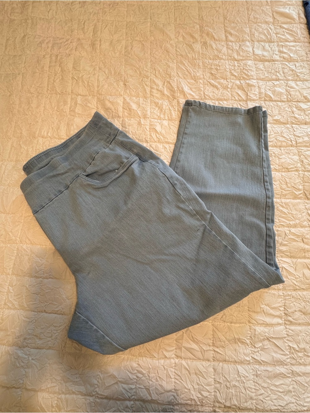 Alfred Dunner Women's Skinny Jeans in Slate Blue